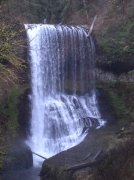 Silver Falls 12.10.05 065 